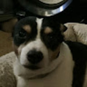 Meet your Posher, Javier